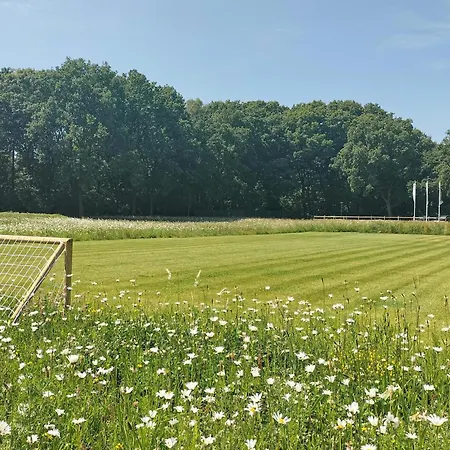 Holiday home Beautiful In With Wifi Afferden (Limburg)