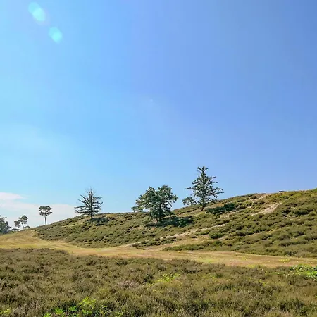 Beautiful In With Wifi *