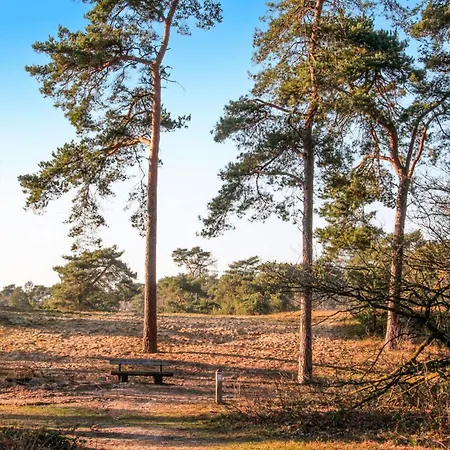 Beautiful In With Wifi