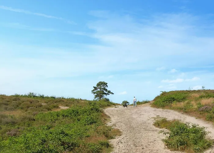 Vakantiehuis Beautiful In With Wifi *