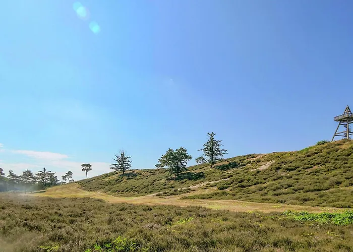 Beautiful In With Wifi *