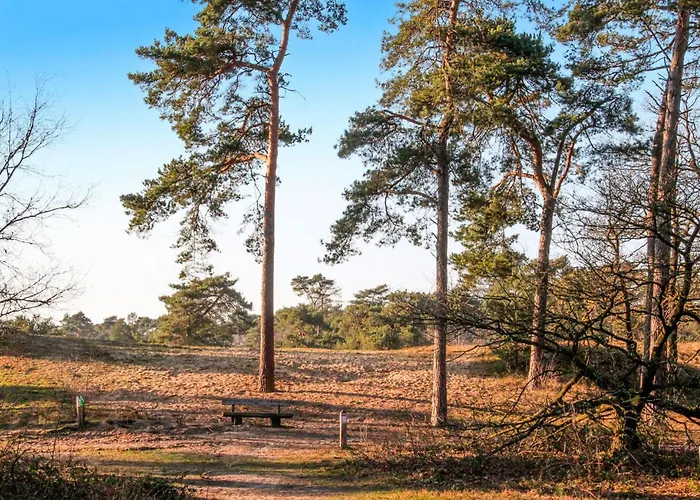 Beautiful In With Wifi